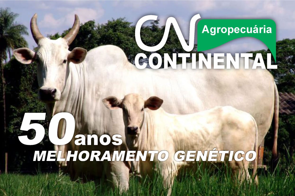 Continental Agropecuária realiza quarta edição do seu remate exclusivo